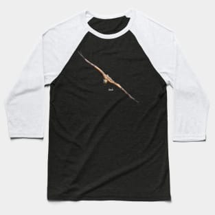 eagle focus / Swiss Artwork Photography Baseball T-Shirt